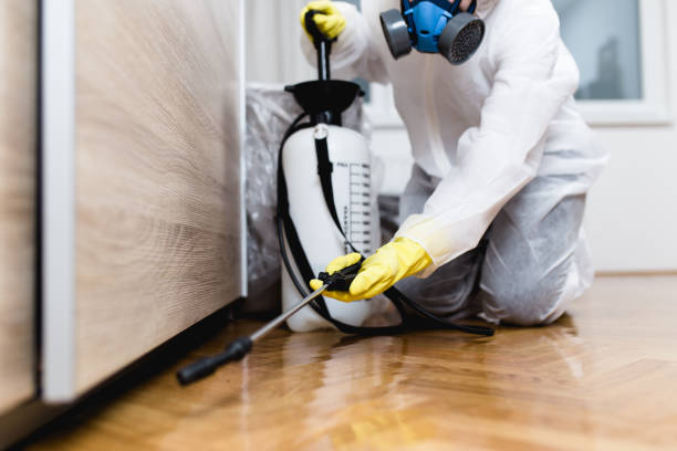 Best Cockroach Control Services  in Farley, IA