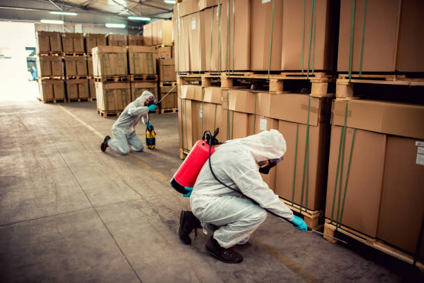 Best Affordable Pest Control Services  in Farley, IA