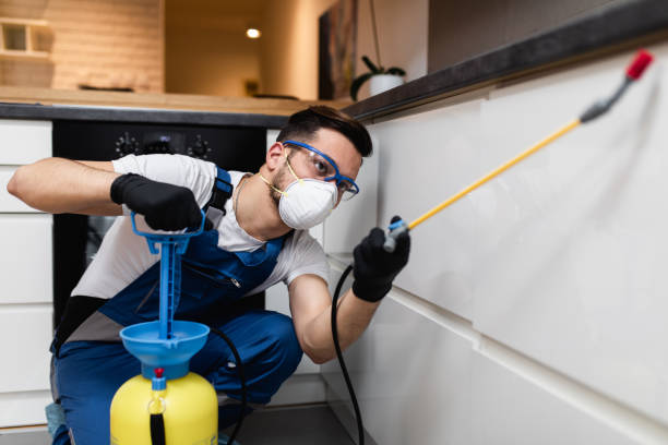 Professional Pest Control in Farley, IA