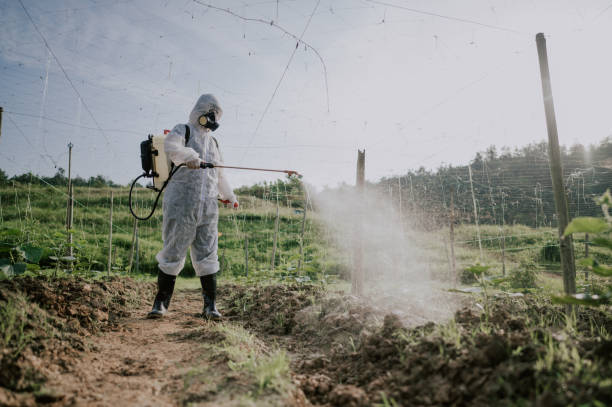 Best Mosquito Control Services  in Farley, IA
