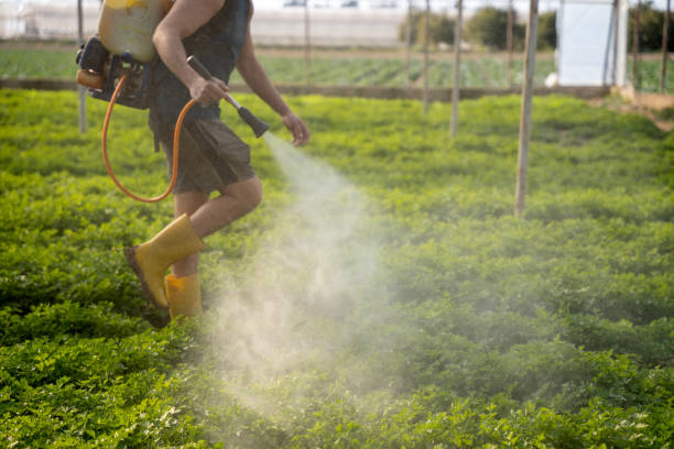 Best Pest Inspection Near Me  in Farley, IA