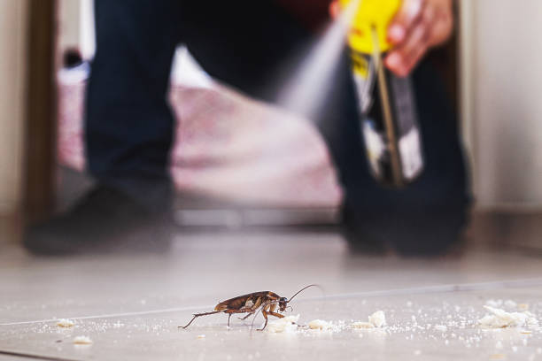 Best Commercial Pest Control Services  in Farley, IA