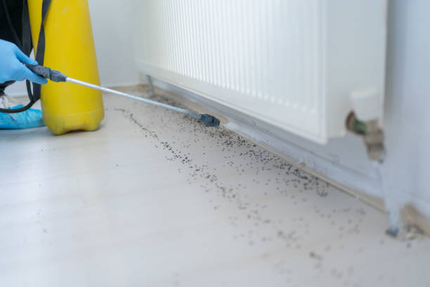 Best Best Pest Control Companies  in Farley, IA