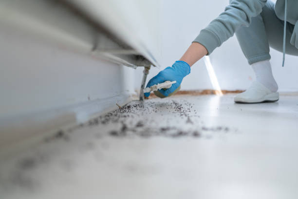 Pest Control for Restaurants in Farley, IA